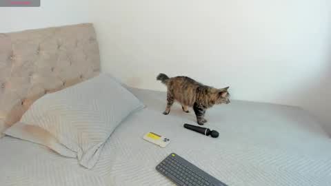 sofi_martinezz1 online show from April 16, 2026, 5:52 am