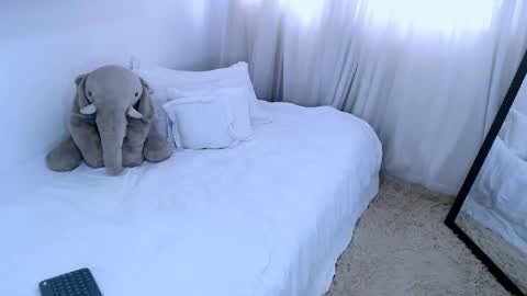 sofia Ill be back on Tuesday June 4.  online show from February 13, 2025, 5:01 pm