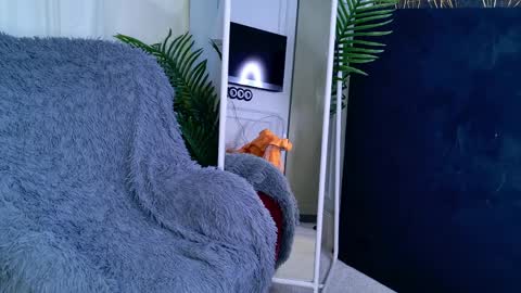 Sofia online show from April 1, 2026, 5:52 am