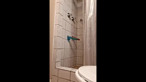 sologirl81 online show from February 6, 2026, 5:38 pm