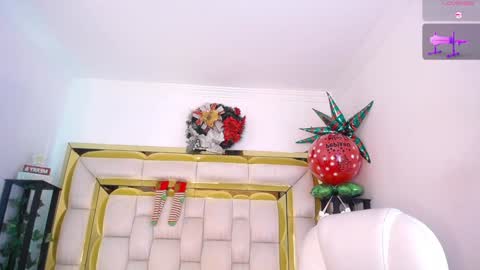 Snapshot of sophi_gray chatting on December 29, 2024, 12:01 pm Shophi online show from December 29, 2024, 12:01 pm