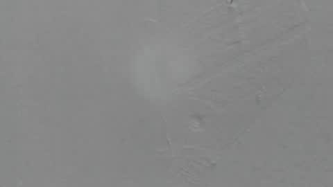 Snapshot of sophia_ebony___ chatting on February 8, 2026, 1:14 pm sophia_ebony___ online show from February 8, 2026, 1:14 pm