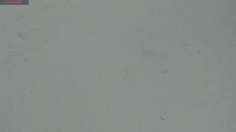 Snapshot of sophia_ebony___ chatting on April 29, 2026, 12:09 pm sophia_ebony___ online show from April 29, 2026, 12:09 pm