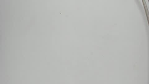 Snapshot of sophia_ebony___ chatting on May 19, 2026, 12:00 pm sophia_ebony___ online show from May 19, 2026, 12:00 pm