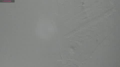 Snapshot of sophia_ebony___ chatting on May 25, 2026, 12:11 pm sophia_ebony___ online show from May 25, 2026, 12:11 pm
