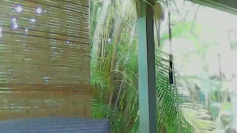 soveryhandsome online show from January 4, 2025, 5:58 am