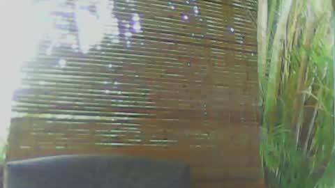 soveryhandsome online show from January 18, 2025, 11:00 pm