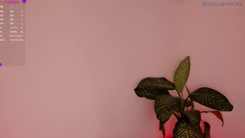 Snapshot of soysamicita_ chatting on December 17, 2024, 8:34 am Sami Diaz online show from December 17, 2024, 8:34 am