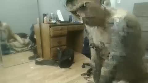 Snapshot of speedfreekeespun chatting on February 25, 2025, 7:14 pm speedfreekeespun online show from February 25, 2025, 7:14 pm