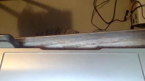 spirit__bear online show from November 22, 2025, 12:59 pm