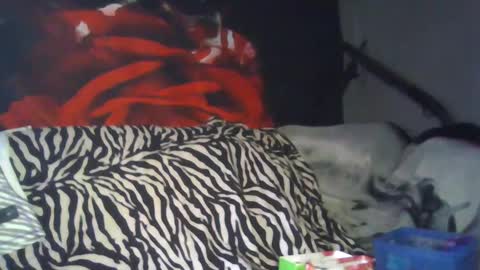 Daddy  His Splash Queen online show from September 26, 2025, 8:13 pm