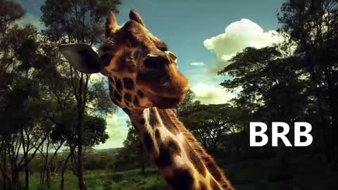 Karina online show from January 18, 2025, 9:02 am