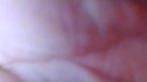Snapshot of spun_horndaddy chatting on November 4, 2025, 10:58 am SpunSlut online show from November 4, 2025, 10:58 am