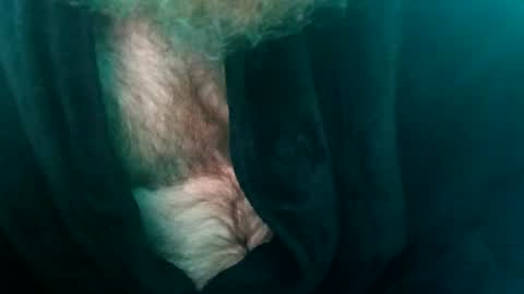 spunfuncumming online show from July 10, 2026, 10:07 am