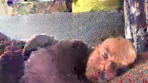 srekos38 online show from October 10, 2025, 12:37 pm