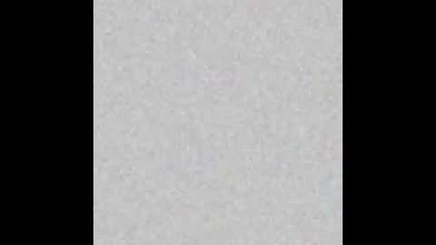 Srta. Fox online show from January 23, 2025, 1:02 pm