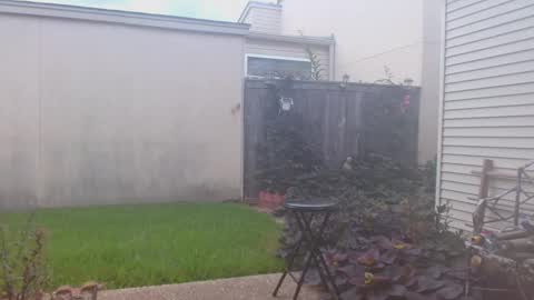 srtxshow online show from September 23, 2025, 7:06 pm