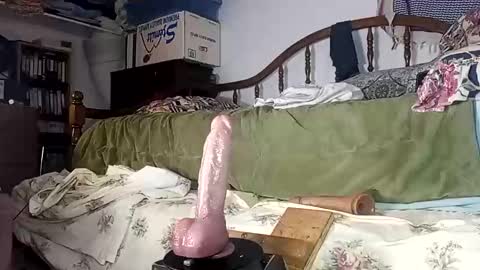 Snapshot of st0ned_d chatting on November 4, 2025, 6:56 am Dick online show from November 4, 2025, 6:56 am