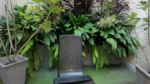 STAAR HOT online show from February 1, 2026, 12:26 pm