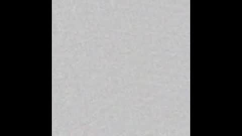 Stacy online show from October 14, 2025, 12:28 pm