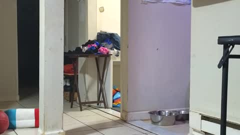 Submissive Slut LOVES adoration online show from January 29, 2025, 12:45 pm