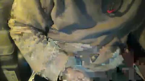 CIPPALIPPA online show from November 8, 2025, 12:22 am