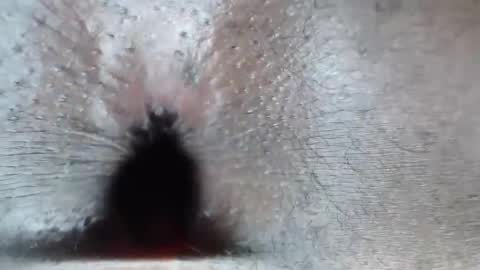 calvin online show from February 26, 2026, 6:12 am