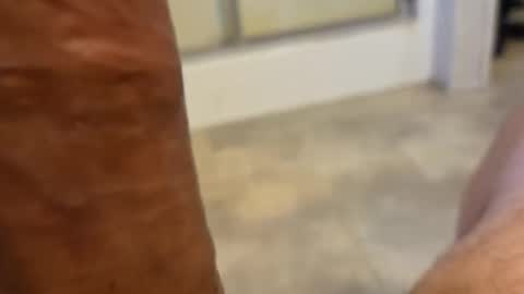 Snapshot of stareyes0249 chatting on September 11, 2025, 10:32 pm stareyes0249 online show from September 11, 2025, 10:32 pm