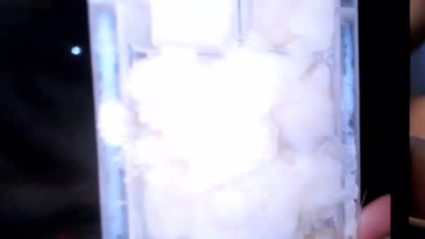 stealth1337 online show from March 2, 2026, 2:24 pm