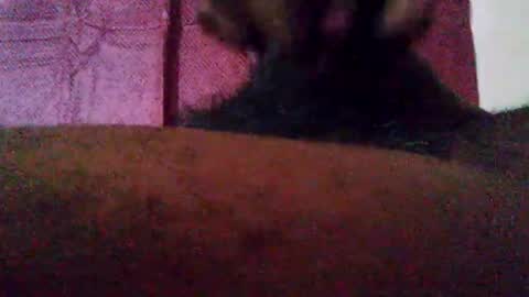 stebel666185 online show from September 22, 2025, 1:24 pm