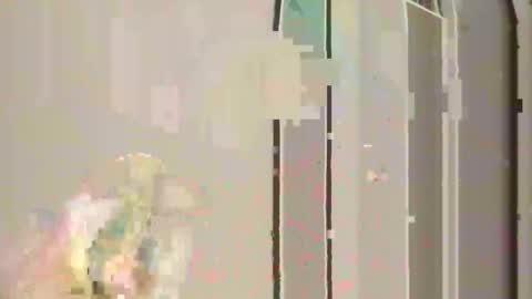 Snapshot of steedmont chatting on November 30, 2025, 11:31 pm steedmont online show from November 30, 2025, 11:31 pm