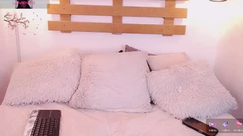 Snapshot of steev_novoa chatting on February 2, 2025, 10:24 am Steev online show from February 2, 2025, 10:24 am