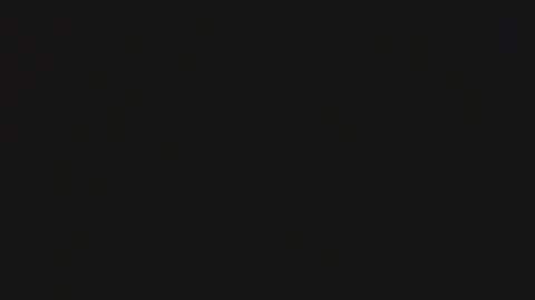 Steisha online show from January 29, 2025, 9:33 am