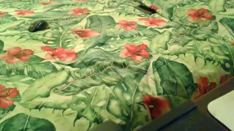 Snapshot of stel7621 chatting on December 18, 2025, 6:58 pm Rocco-load online show from December 18, 2025, 6:58 pm