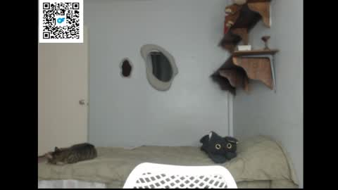 Stella online show from April 1, 2026, 8:39 pm