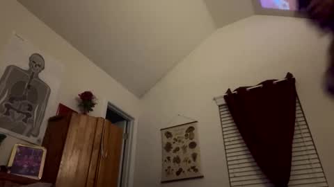 stellakobra online show from November 15, 2025, 8:11 am