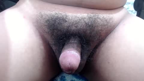 Stellaven online show from December 13, 2024, 6:53 am