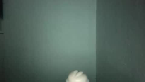 Alpharius 17 online show from January 19, 2026, 12:25 am