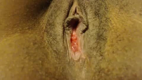 cate ma belle online show from October 7, 2025, 7:00 pm