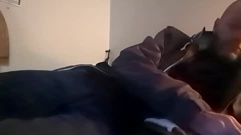 sterng123 online show from November 12, 2025, 2:45 am