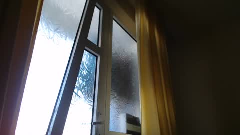 Steven online show from January 7, 2025, 11:58 am