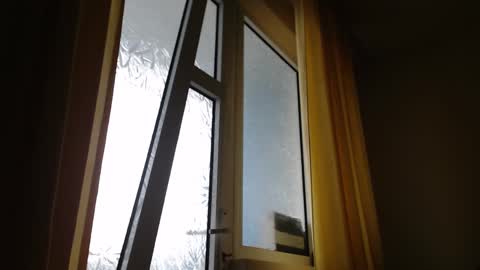 Steven online show from January 26, 2025, 11:28 am