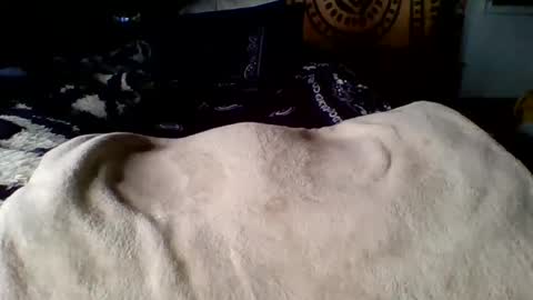 steviehard7 online show from March 12, 2025, 4:02 pm