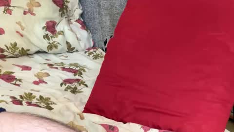 Chris online show from October 21, 2025, 11:22 am