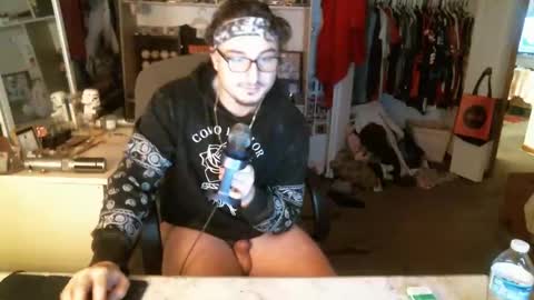 Snapshot of stickey4areason chatting on December 15, 2024, 11:09 pm stickey online show from December 15, 2024, 11:09 pm