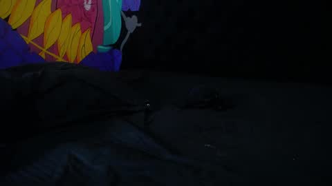 StickXCandy online show from January 30, 2025, 4:34 pm