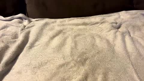 stiffrick682 online show from January 7, 2025, 12:03 am