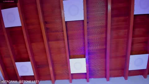 Stone Lee  online show from December 6, 2024, 3:00 pm