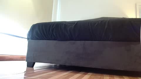 Snapshot of stormy_carter chatting on November 4, 2025, 12:15 pm stormy carter online show from November 4, 2025, 12:15 pm