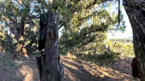 Stag online show from October 6, 2025, 11:46 pm